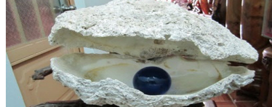 ĐỒ MỸ NGHỆ TUẤN LINH