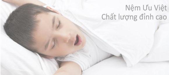 Công ty TNHH Nệm Ưu Việt