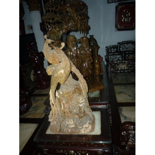 Bộ hồng công đặc biệt
