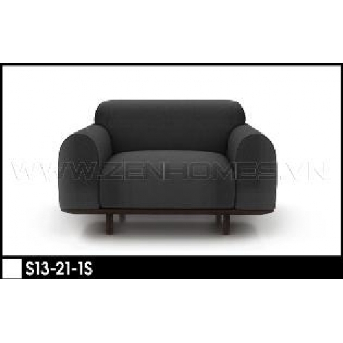 S13-21-1S
