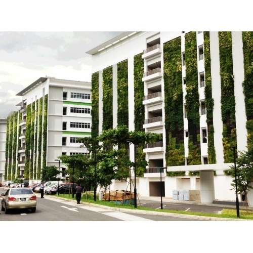 Thiết kế và thi công Tường xanh