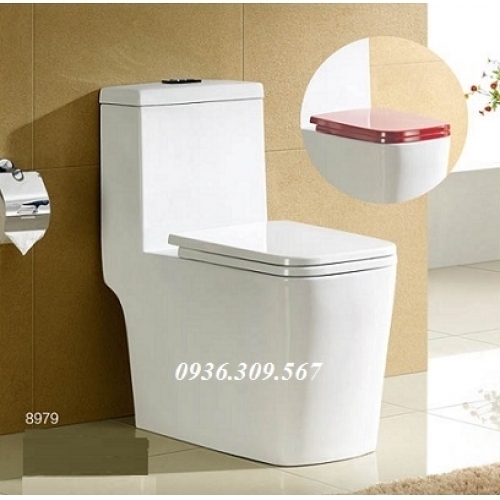 BỒN CẦU LIỀN KHỐI HỒNG KÔNG MÃ SỐ 8979