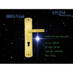 Khóa tay gạt đại inox