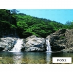 Tranh dán tường