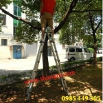 Thang rút đa năng AI dài 5,6M NIKITA