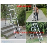 Thang rút chữ A dài 3,2m NIKITA