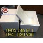 Thùng xốp cách nhiệt, thùng giữ lạnh cho tất cả các loại hàng hóa tươi xanh