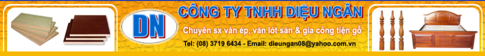 TNHH DIỆU NGÂN