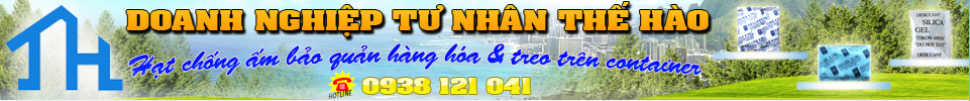 DOANH NGHIỆP TƯ NHÂN THẾ HÀO