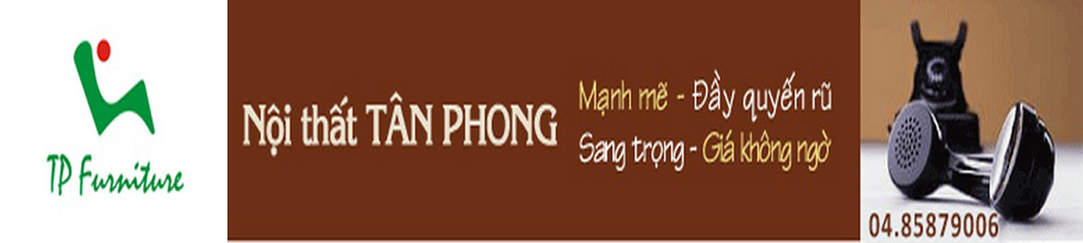 Công ty cổ phần đầu tư và thương mại Tân Phong