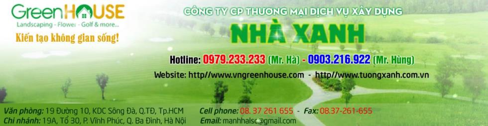 CÔNG TY CP THƯƠNG MẠI DỊCH VỤ XÂY DỰNG NHÀ XANH