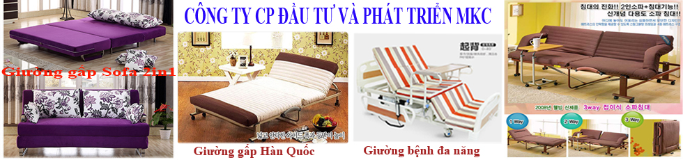 CÔNG TY CỐ PHẦN ĐẦU TƯ VÀ PHÁT TRIỂN MKC