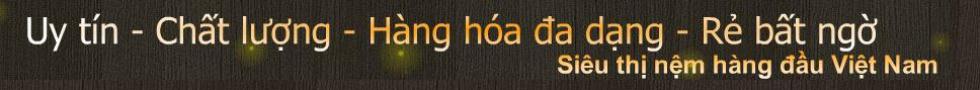 SIÊU THỊ NỆM - CÔNG TY TNHH SX TM ĐẦU TƯ THẾ GIỚI MỚI