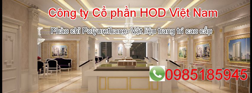 Công ty CP HOD Việt Nam